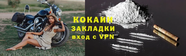 дмт Богданович