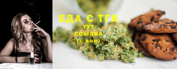 дмт Богданович