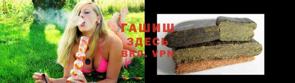 дмт Богданович