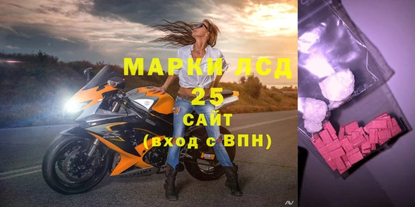 дмт Богданович
