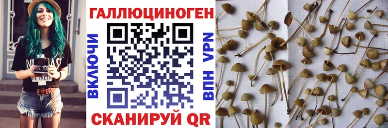 Псилоцибиновые грибы Psilocybine cubensis  hydra зеркало  Гремячинск 